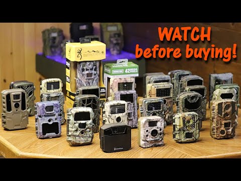 Trailcameras: wat ze zijn, hoe ze werken, technische details en gebruiksvoorbeelden